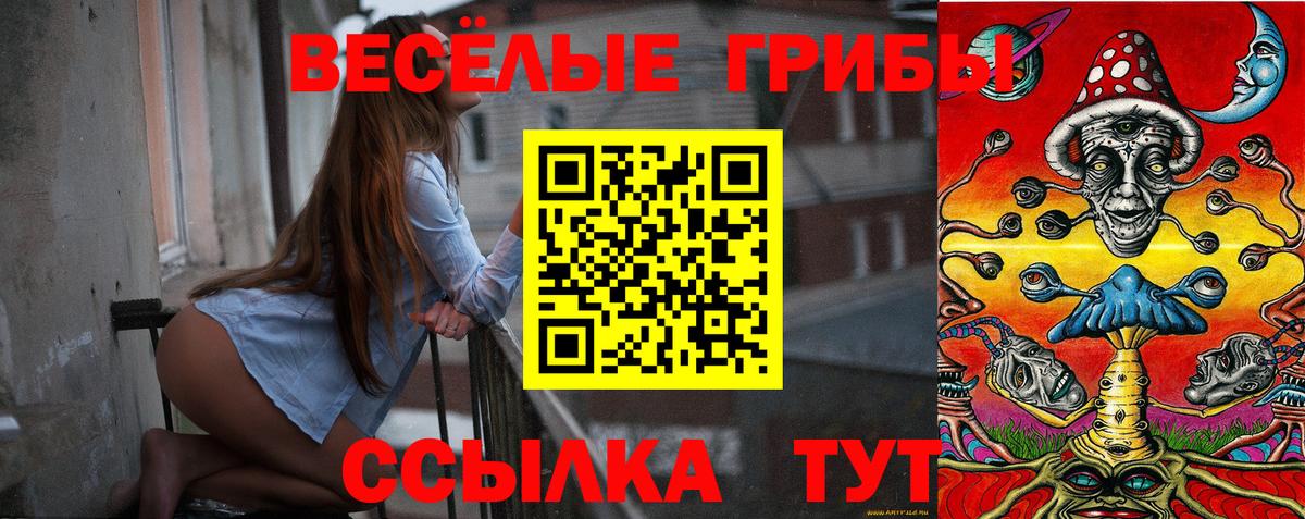 Галлюциногенные грибы Psilocybe Тамбов